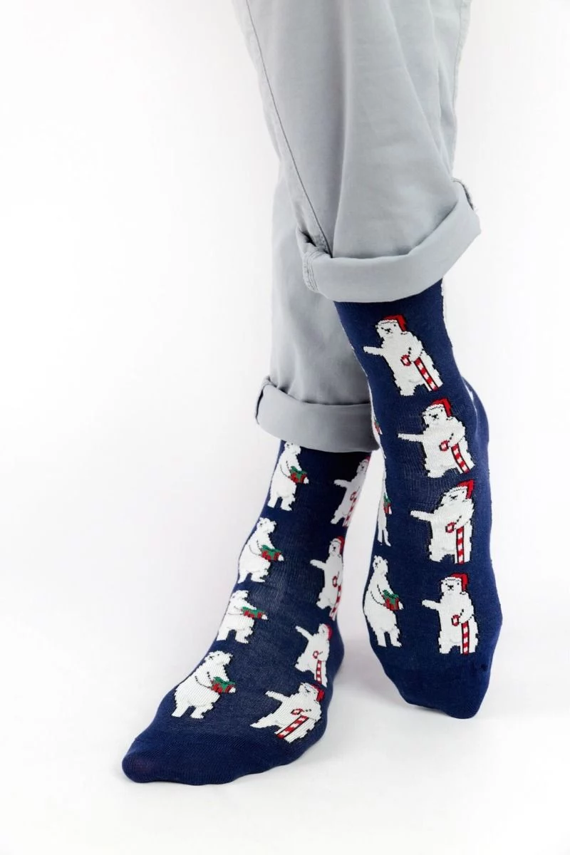 Ανδρικές - Εφηβικές Fashion Κάλτσες Crazy Socks POLAR BEAR