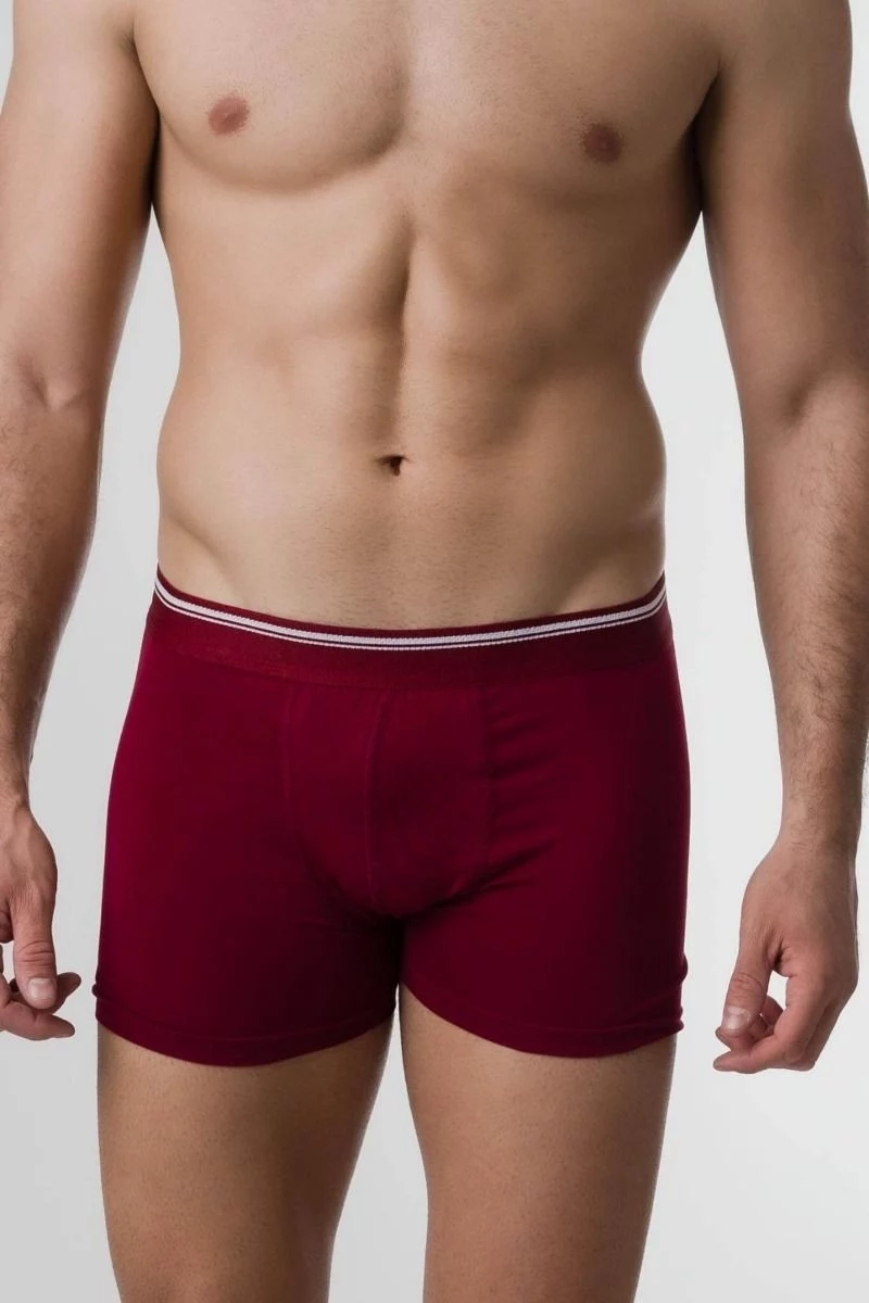 Boxer "Berrak" BORRIS