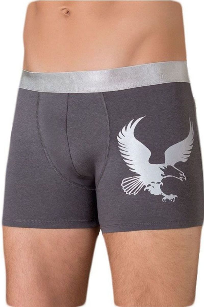 Ανδρικό Boxer Berrak EAGLE