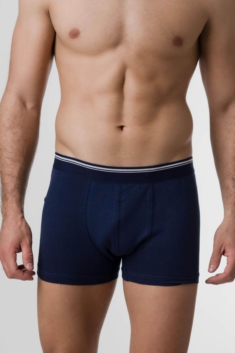 Boxer "Berrak" BORRIS