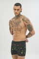Boxer 