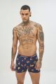 Boxer 