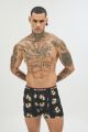 Boxer 