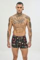 Boxer 