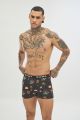 Boxer 