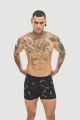 Boxer 