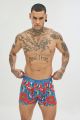 Boxer 