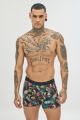 Boxer 