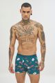 Boxer 