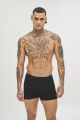 Boxer 