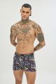 Boxer 