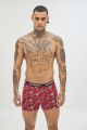 Boxer 