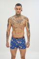 Boxer 
