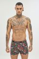 Boxer 