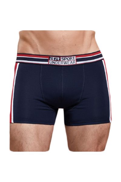 Boxer