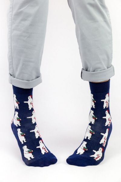 Ανδρικές - Εφηβικές Fashion Κάλτσες Crazy Socks POLAR BEAR