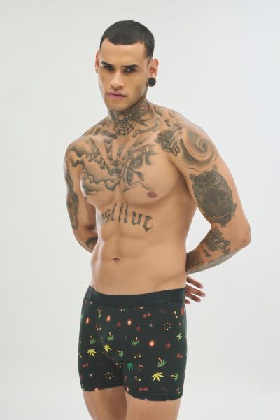 Boxer 