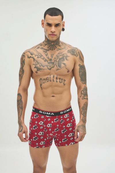 Boxer 
