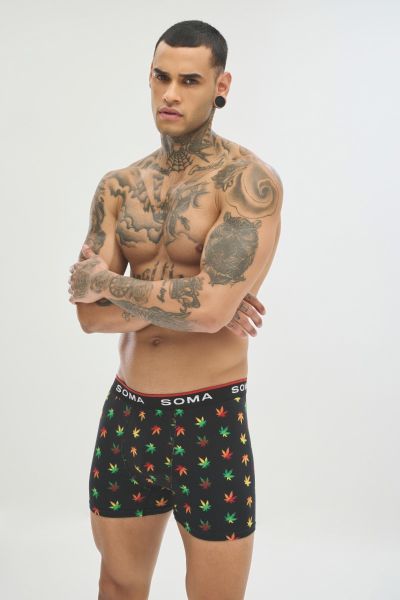 Boxer 