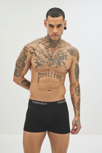 Boxer 