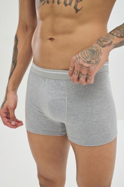Boxer 