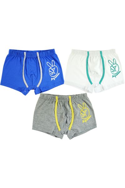 Εφηβικό Boxer